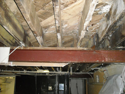 Mold Remediation - Before